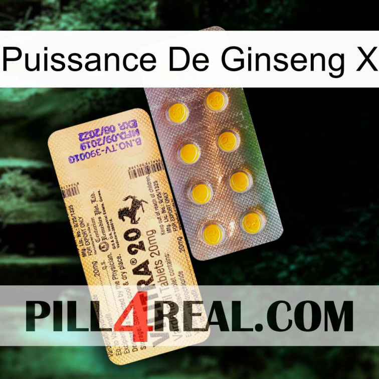 Ginseng Power X new06